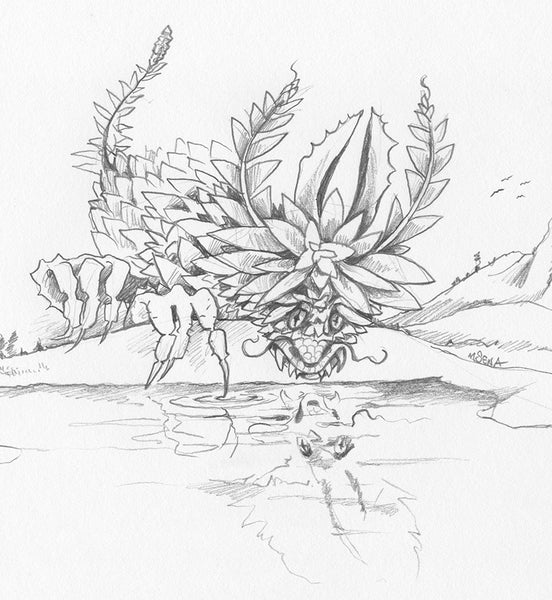 Drawing Class—Dragons